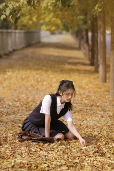 欧美人与动欧交免费观看